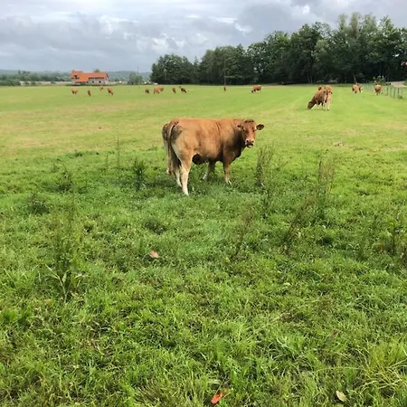 Apartmán Son Des Mouettes