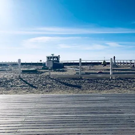 Son Des Mouettes Trouville-sur-Mer