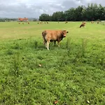 Διαμέρισμα Son Des Mouettes