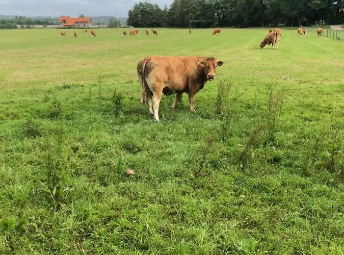 דירה Son Des Mouettes